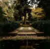 bosco_ragnaia_san_giovanni_01.jpg (28194 byte)